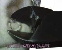 http://club-snap.su/sites/default/files/ru117.jpg