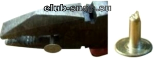http://club-snap.su/sites/default/files/ru176.jpg
